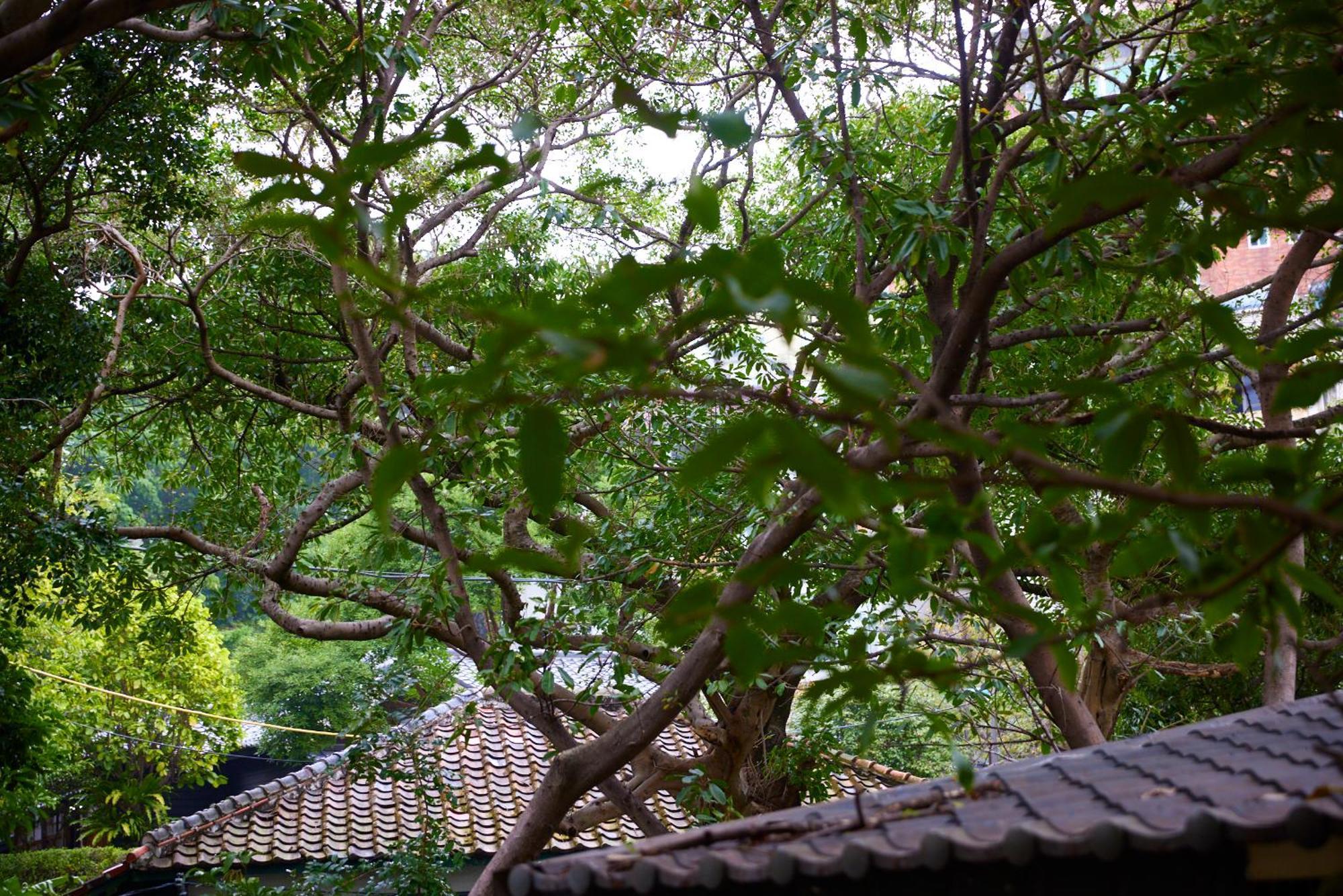 Kyokusui Hotspring Hotel Taipé Exterior foto
